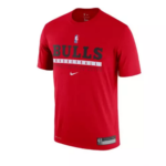 T-Shirt Chi M Nk Tee Es Prtc Gpx Ss Nike - S, 657