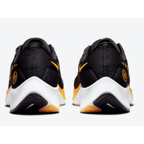 DM7602-001 (2) Chaussures Pegasus 38 Nike Air Zoom