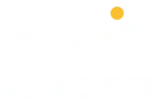 Mizuno